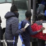 Cameroonians face deportation from US: Trump administration remove temporary protected status for about 8000 Cameroonians – BBC News Pidgin